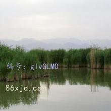 ѧϰ
